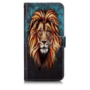 Oil Embossed Coloured Drawing Pattern Horizontal Flip PU Leather Case with Holder & Card Slots & Wallet & Photo Frame For Galaxy A60 / M40(Lion)
