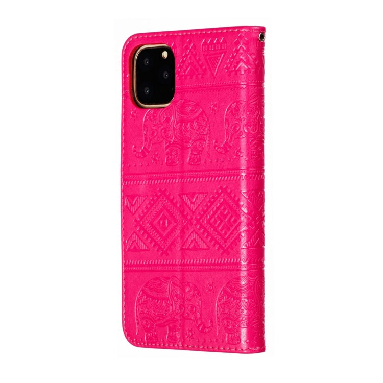 EDA00077703A_2.jpg@419fde3ef07a20bef732c2edade4765d