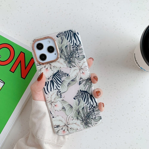 Golden Circle Pattern Dual-side Laminating TPU Case For iPhone 11 Pro(Zebra)