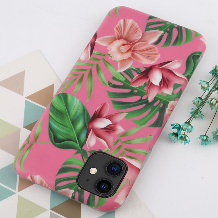 EDA00167401I_2.jpg@ca380cf1e8f2f56e7c81db4d8e55a538