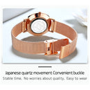 EDA00267101C_4.jpg@fc02dff6d348f92bd1ee86f9d1e26f06