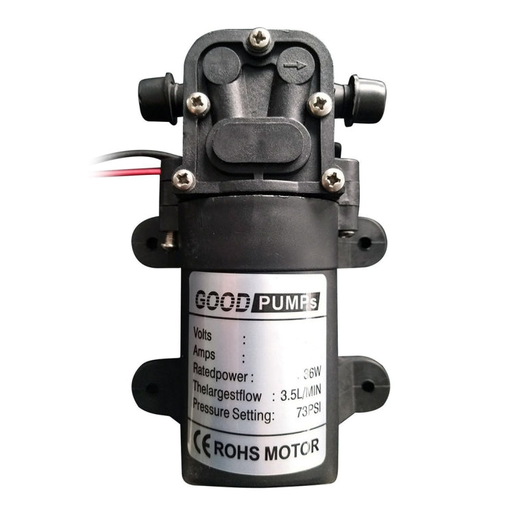 EDA00505602_1.jpg@ec7cfbd33395e485b3b7e44129409e79