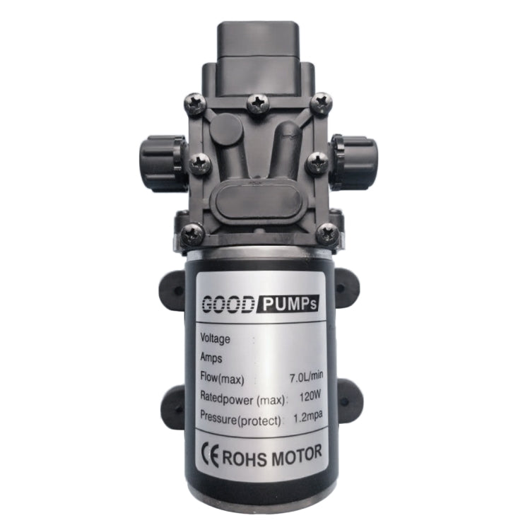 EDA00505703_1.jpg@026db3961adaaeee8142c1cecadceeb0