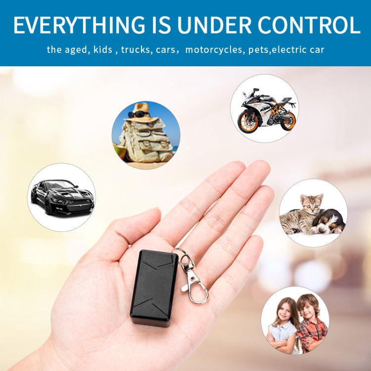 EDA005256_5.jpg@91db1a9b5c487a7ee5855747a82e9f5e