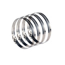 4 PCS Stainless Steel Hose Clamps Pipe Clip Fuel Line Clip, Size: 91-114mm