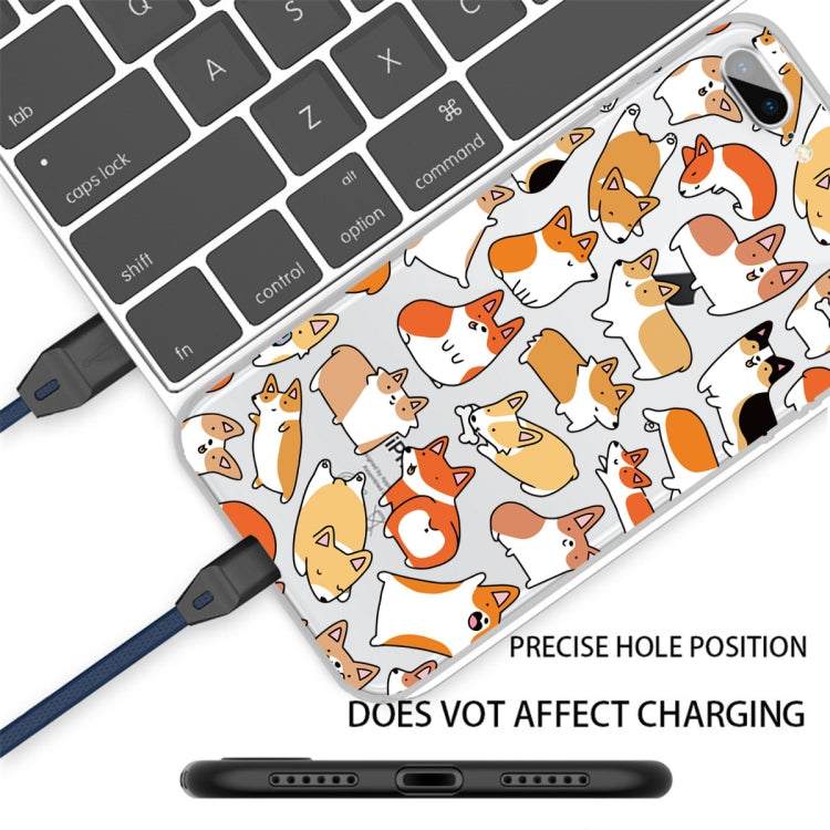 EDA00571210P_2.jpg@97774f4de0ce8dd0c5ee2b76489de51a