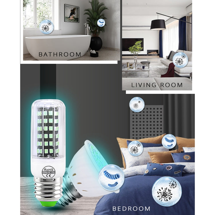 EDA00600403_7.jpg@e55a446b4387d1e225da0162e226f0c1