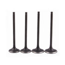 Motorcycle Cylinder Head Intake and Exhaust Valve Kit for Honda Sportrax TRX400EX