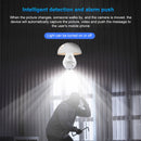 EDA00692001A_10.jpg@87d792e740fe025179dfc8804a15da02