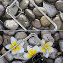 EDA00749405A_5.jpg@e9a019f0c65ba5c998b790c7e6cef52b