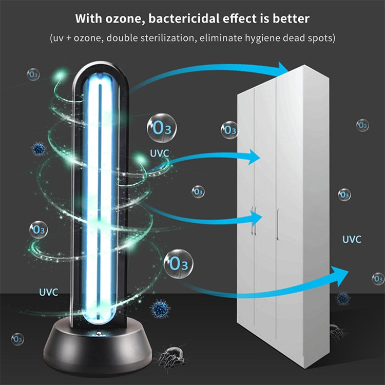 EPP1604_10.jpg@ce96ebbd515ed6f1e55b6b3a74f850cd