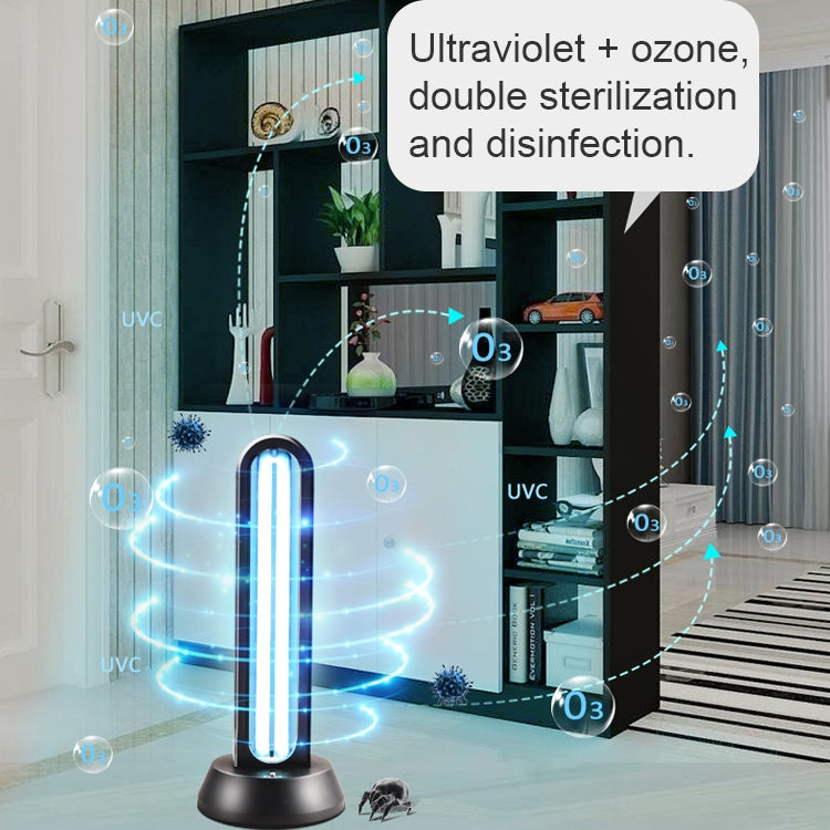 EPP1604_11.jpg@17f39ddba66d77fee3d170239b06579d