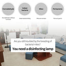 EPP1604_3.jpg@af42a1cf0fac9fa9a27c831aa6f9d3c9