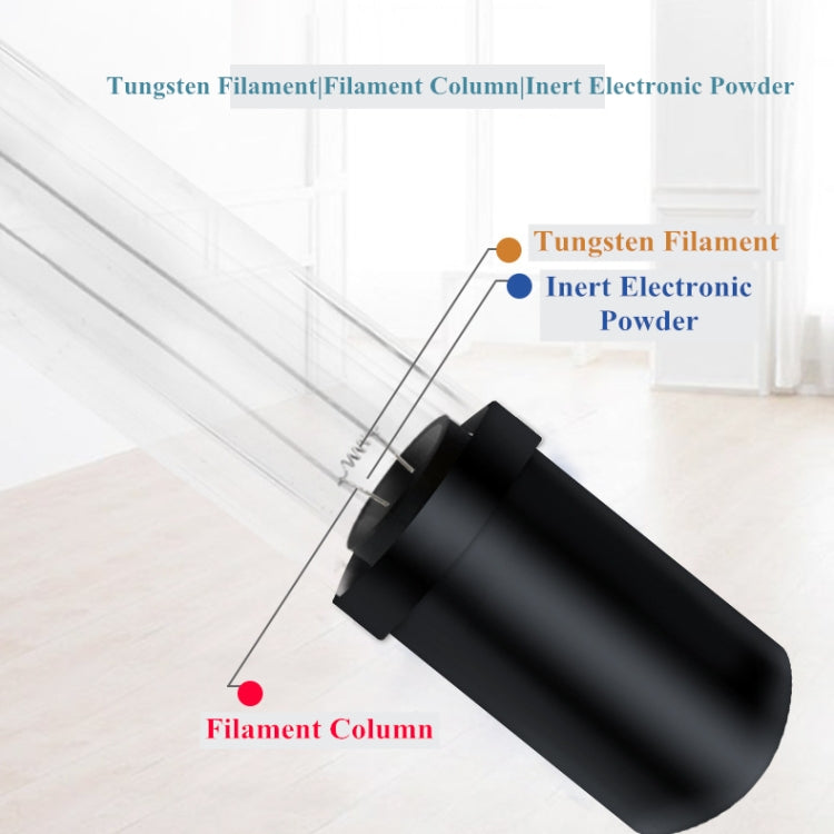 EPP23624_2.jpg@78f8ec09a5ba1af5c9e082c1594dd147