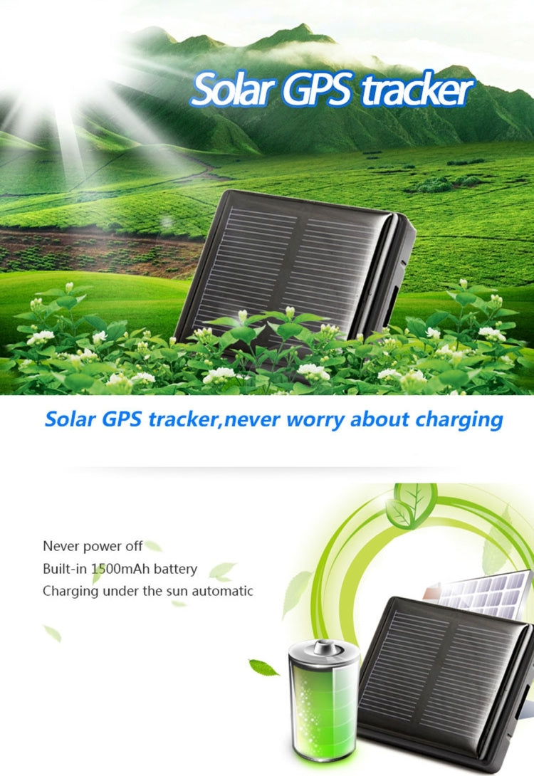 GPS0324W_5.jpg@d0b1f063706695c5cae98d63b28a36a2