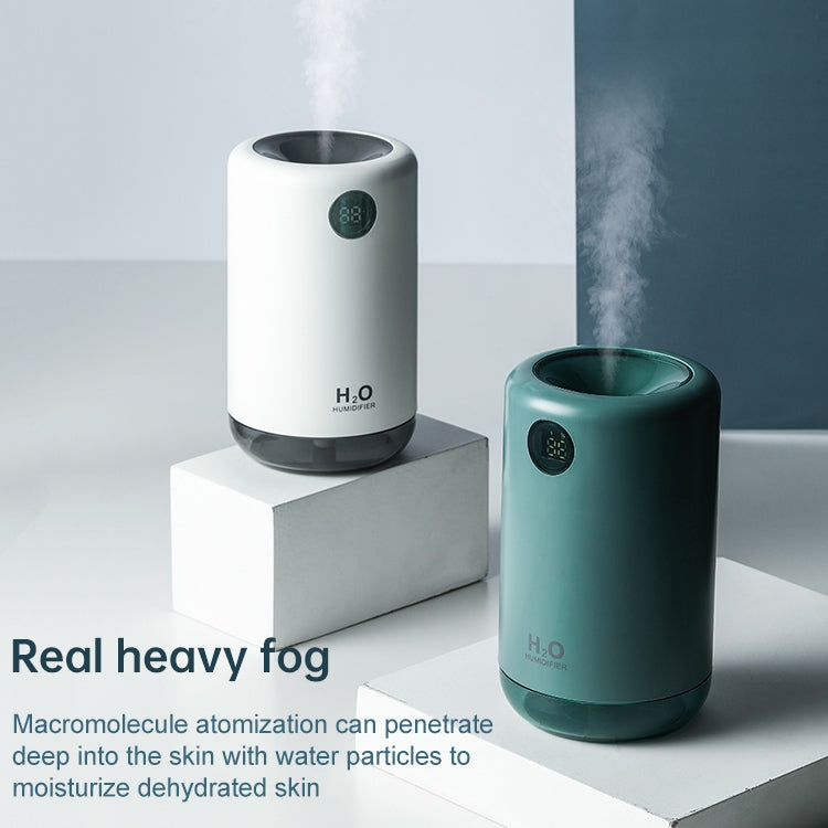 HAP6954CR_2.jpg@b34269b459a83dc1ea0c14004becffb5