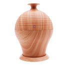 Mini Humidifier USB Mute Home Creative Ultrasonic Aromatherapy Machine Automatic Alcohol Sprayer