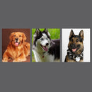 HC0817Z_7.jpg@f8089d2771667cdd15376abc7ecb0f55