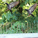 HC2880_8.jpg@ad86197e2355996592bb2a29d1e22427