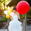 HC3463_6.jpg@3384aef0308f54c1a730d39d46f605bc