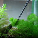 HC3580_7.jpg@69e4be53cfb5d54317d15d6f85d360a4