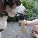 Outdoor Portable Auto Pet Drinking Water Cup Water Feeder (Brown)