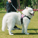 HC5253F_6.jpg@faeaa3163f78ec99d1ab23d3f071b7d2