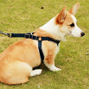 HC5263B_6.jpg@cc74479bf1f82a940f2c48055d9bd5cf