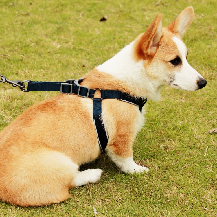 HC5263B_6.jpg@cc74479bf1f82a940f2c48055d9bd5cf