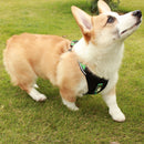 HC5276G_6.jpg@495e4f3154d3e9263dec5d07b21d168e