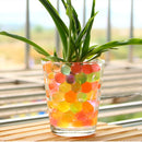 HC6666T_4.jpg@9b9301b5a4b678ba1e008be01829a23c