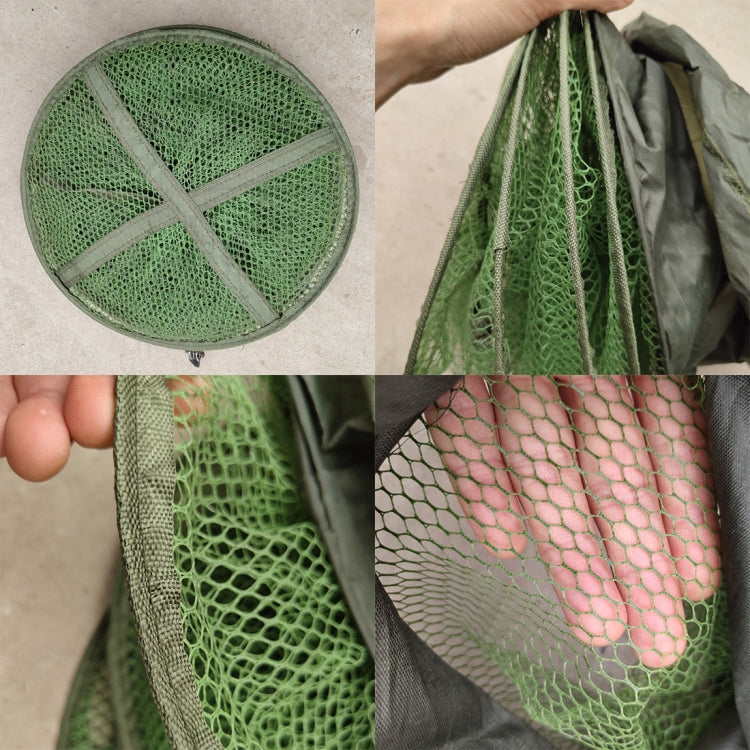 HC7385_4.jpg@d2bfaf577439a682593e6a2953d29a38