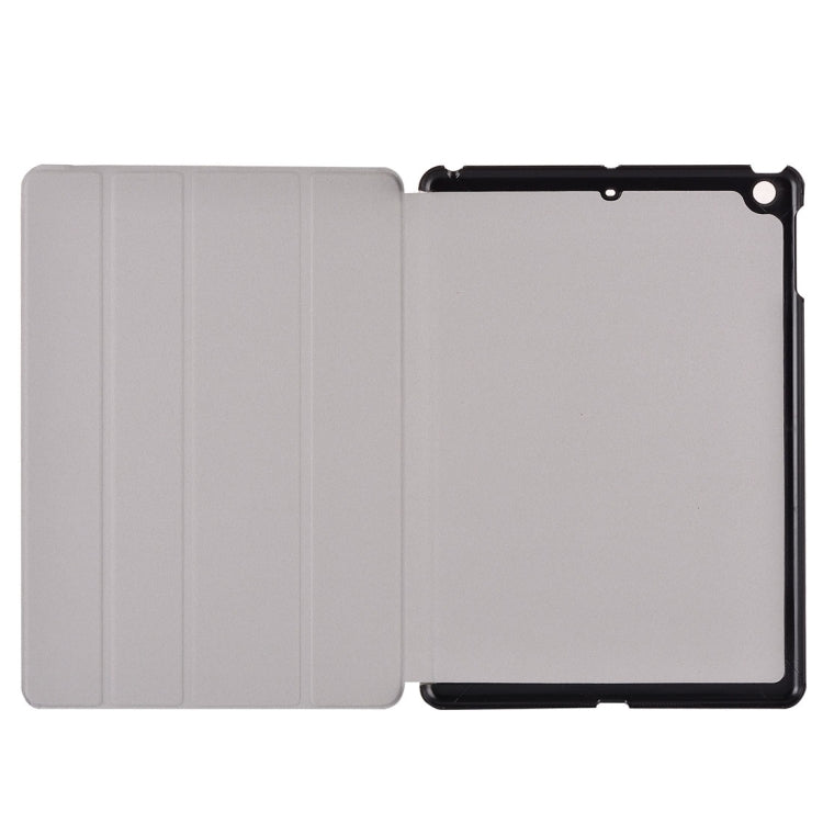 IP5D0209B_4.jpg@ee290a7ef259613e51932ce64ff38ee4