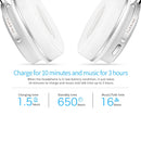 IP6D0130B_6.jpg@40ab9c2a343f0f78396305294774e4eb