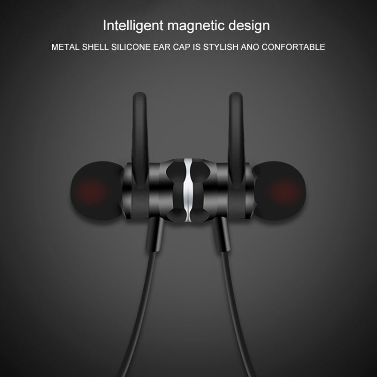 IP6D0248B_10.jpg@24a2b2ede2d55469243202878ee1b4b8