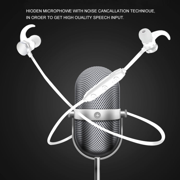 IP6D0248B_11.jpg@2017cae3eeebe02e70a726433364eb28