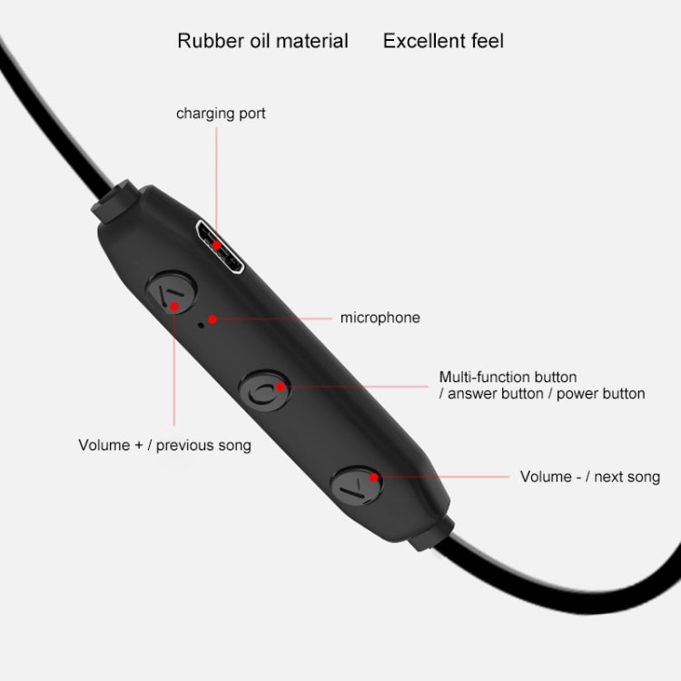 IP6D0248B_7.jpg@f6e6deb0ef4a0e94399ab78046454962