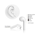 IP6D0280_3.jpg@04890b07ac6417769c5c5fc561009b43