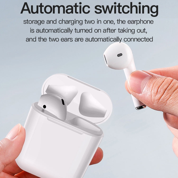 IP6D0349F_10.jpg@c5e5c578aa31433b735e5e298ba4d30a