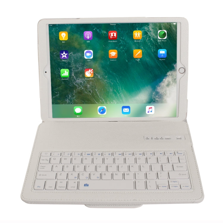 IP6D0449W_5.jpg@558dcb324449c130763ebc846cfb4310