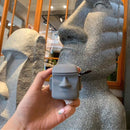 IP6D0458_1.jpg@603a83b8d7905e3e87a130a0de3d88fe