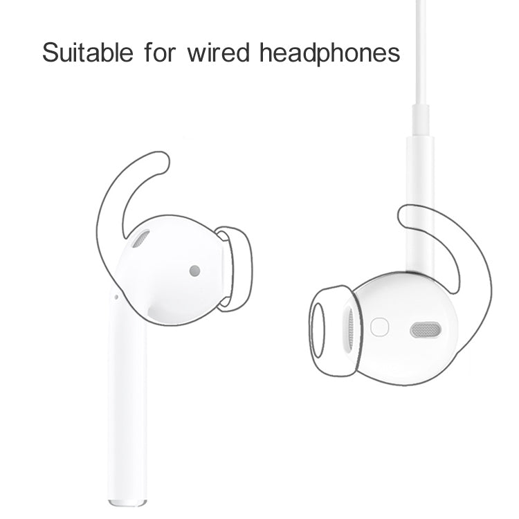 IP6D0468_3.jpg@2e5c1f764dc64f63fba91274ff8e78ea