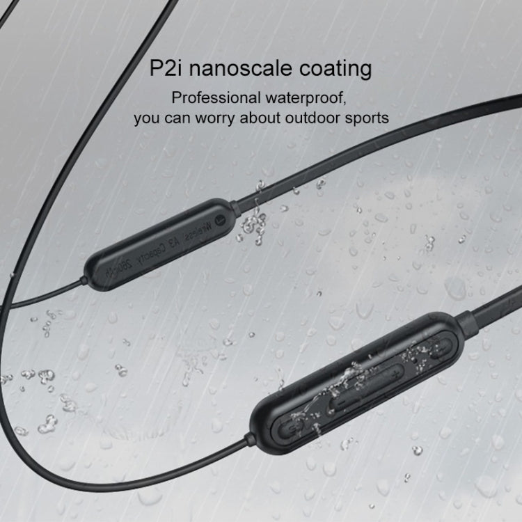 IP6D0520B_5.jpg@d5448bd0d08ae7b2662db5d650d5e9f2