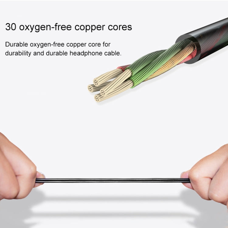 IP6D0520B_6.jpg@bfeff9e90f5145673c1881c935b1edeb