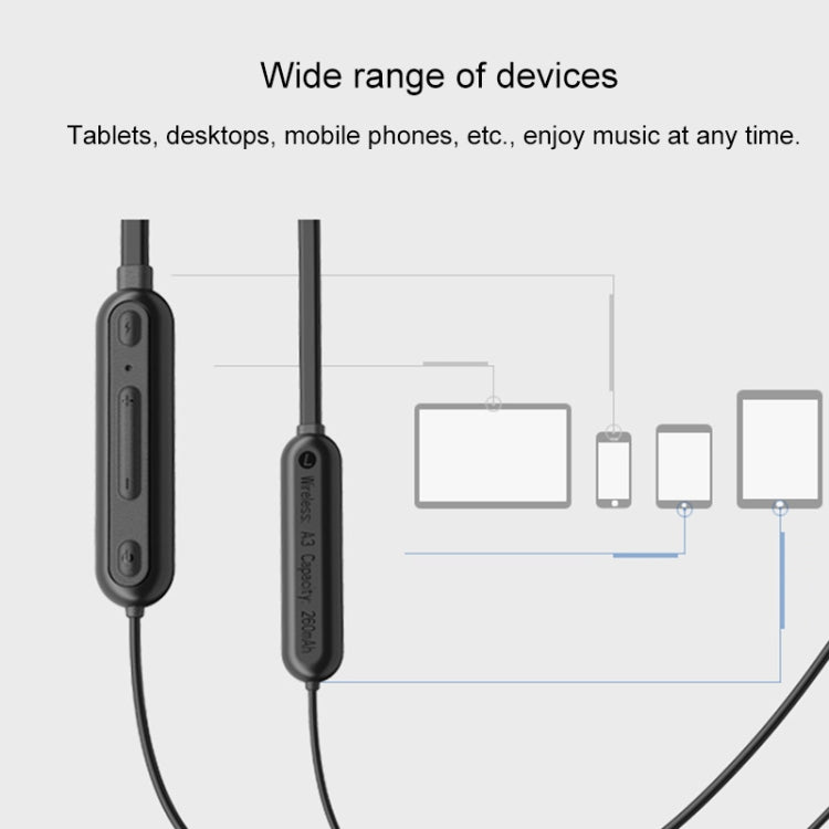 IP6D0520B_8.jpg@f2776f8512d8e695ca177599d17a46c1