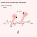 IP6D0554B_8.jpg@ee657f4a0a5b8819e13c0cc32099ebbd