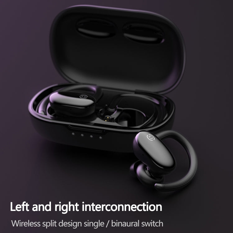 IP6D0555B_5.jpg@2178c59e1fb17ba3d96f5b2e6f21b03e