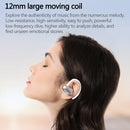 IP6D0555B_9.jpg@d7fab9d3a8807bdffc025116221860e3