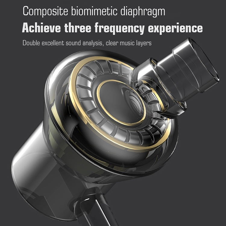 IP6D0567B_10.jpg@294610f8a5384ddf075e5600f9804181