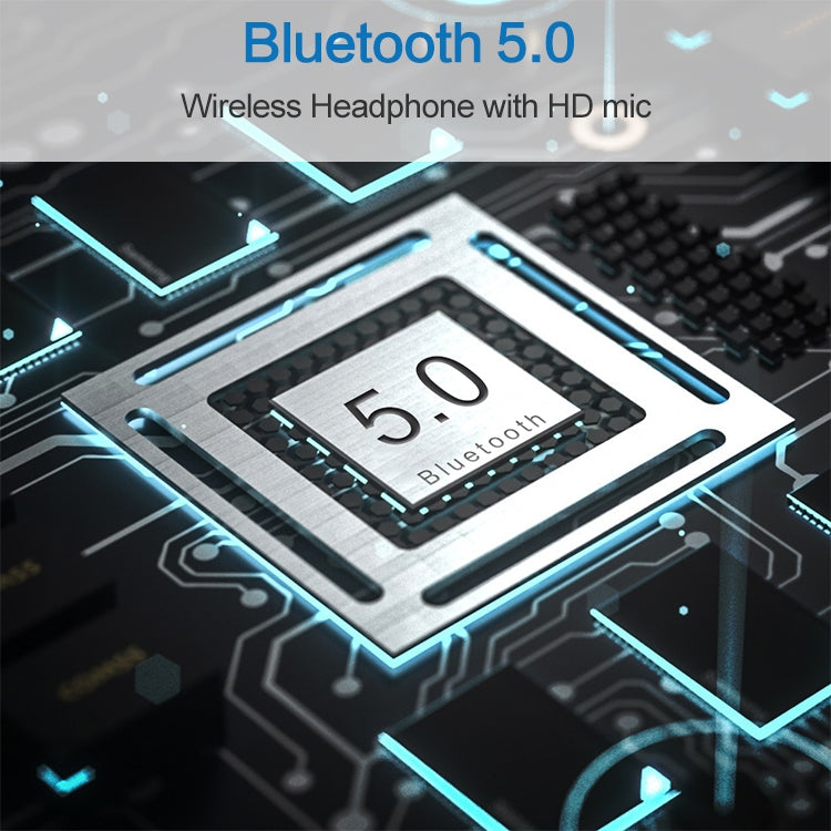 IP6D2224_13.jpg@73304dadb40bac7d893b26f84bff448f